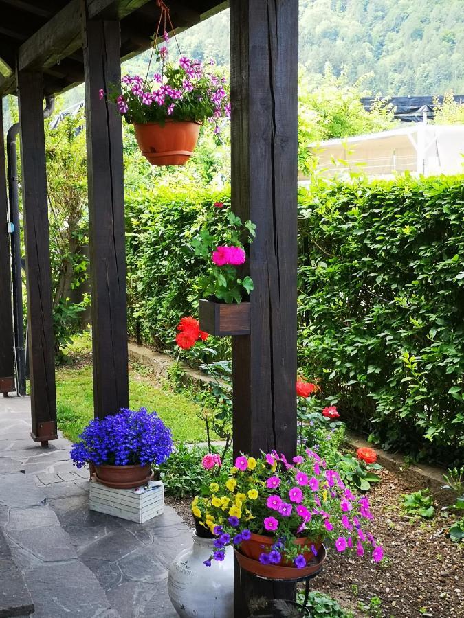 Appartamenti Casa Viviana Pergine Valsugana Dış mekan fotoğraf
