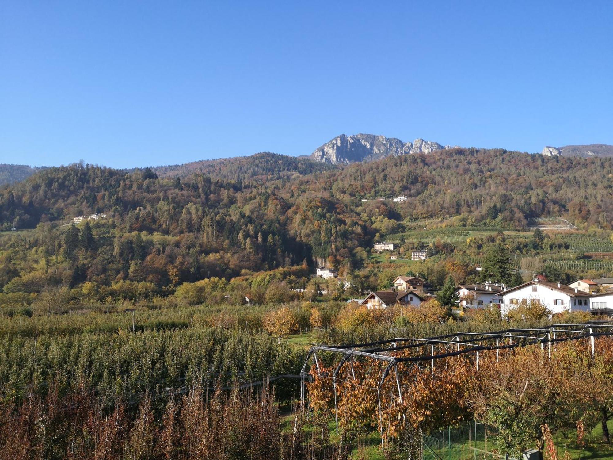 Appartamenti Casa Viviana Pergine Valsugana Dış mekan fotoğraf